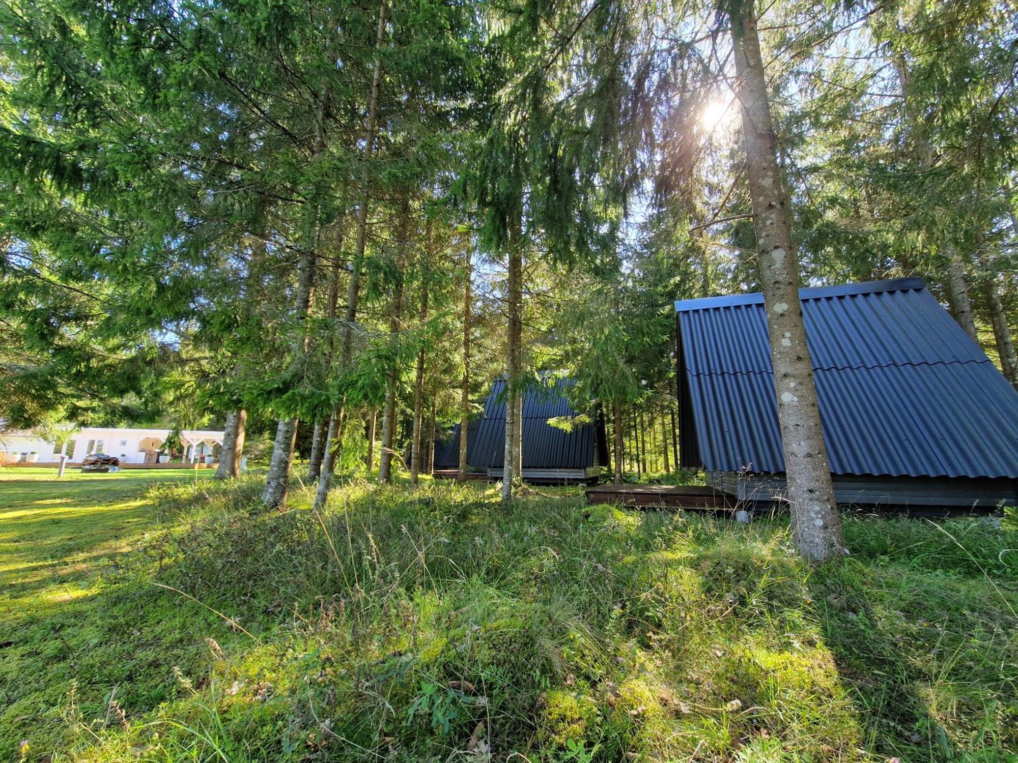 Liivakortsi Kaemping Hotel Romeda Exterior foto